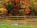 West Virginia Split Rail